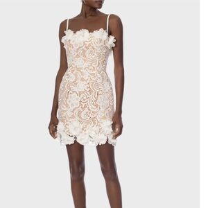 HELSI Quinn Floral Applique Lace Mini Dress